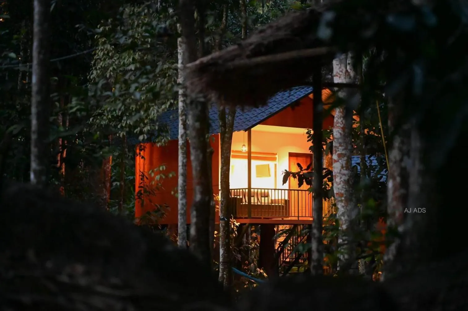 Blue Creek Villa Meppadi India